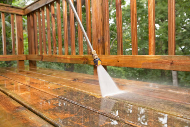 Best Solar Panel Cleaning  in Canfield, OH